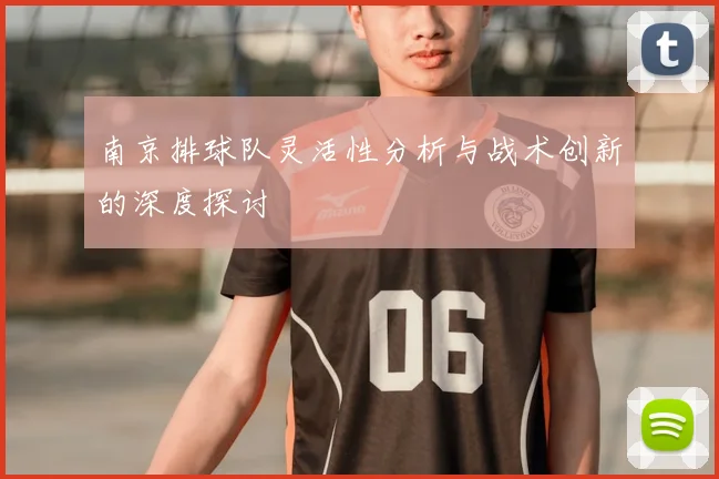 南京排球队灵活性分析与战术创新的深度探讨