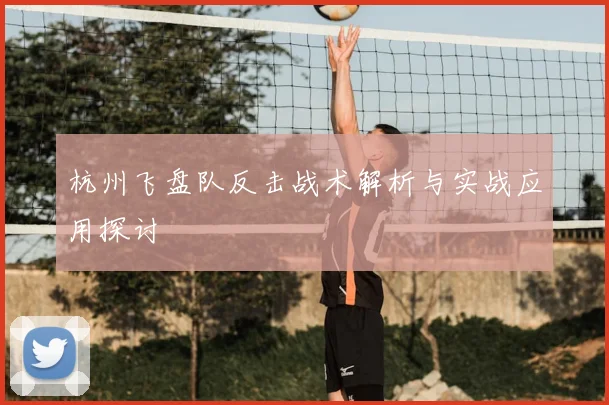 杭州飞盘队反击战术解析与实战应用探讨
