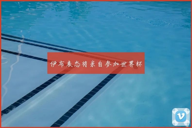 伊布表态将亲自参加世界杯