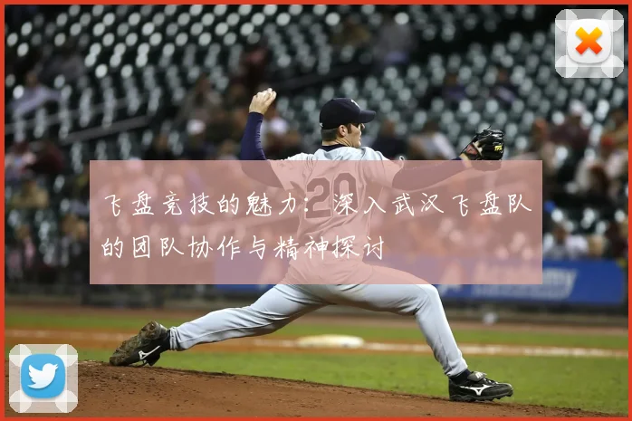 飞盘竞技的魅力：深入武汉飞盘队的团队协作与精神探讨