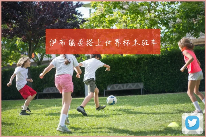伊布能否搭上世界杯末班车