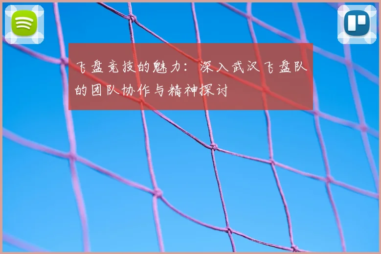 飞盘竞技的魅力：深入武汉飞盘队的团队协作与精神探讨