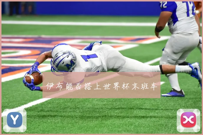 伊布能否搭上世界杯末班车