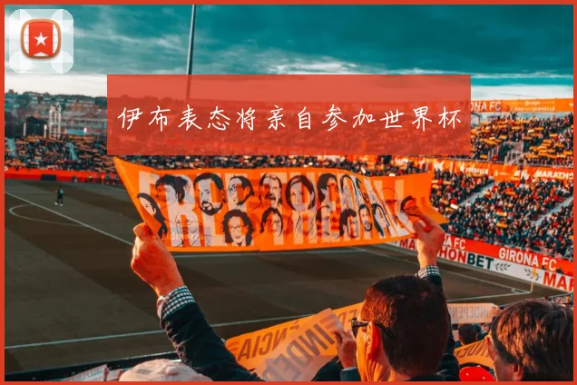 伊布表态将亲自参加世界杯