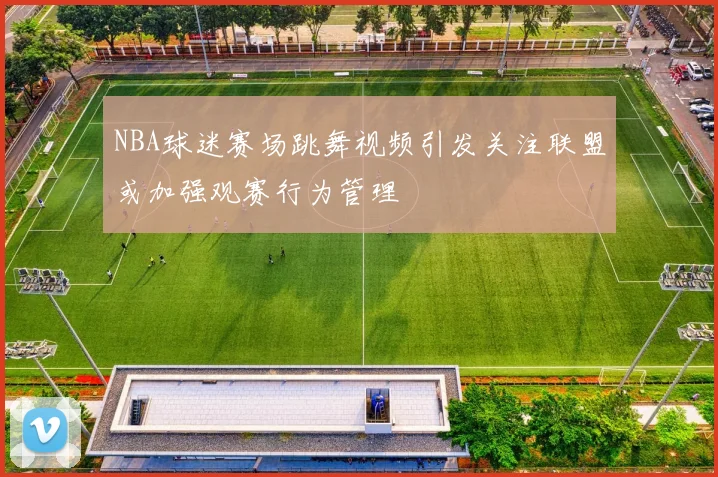 NBA球迷赛场跳舞视频引发关注联盟或加强观赛行为管理