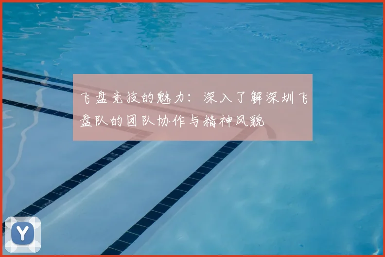 飞盘竞技的魅力：深入了解深圳飞盘队的团队协作与精神风貌